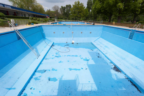 Best Mold removal after water damage  in Englewood, CO