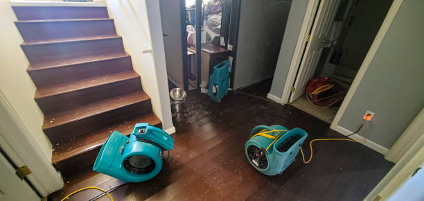 Best Professional water damage repair  in Englewood, CO