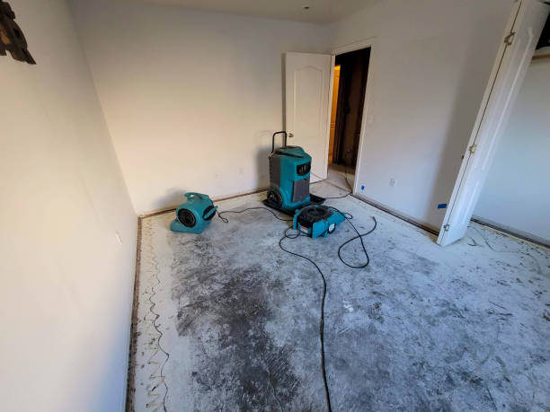 Best Flooded house restoration  in Englewood, CO