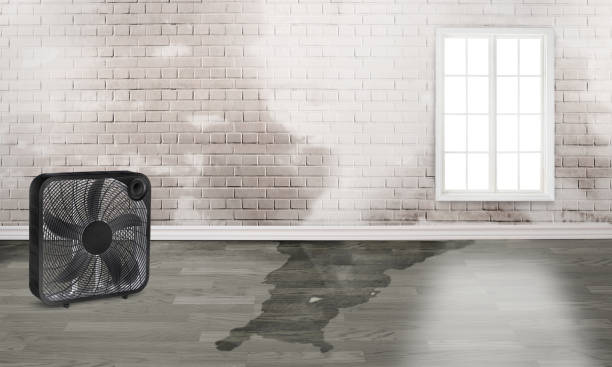 Best Sewage cleanup and water damage restoration  in Englewood, CO