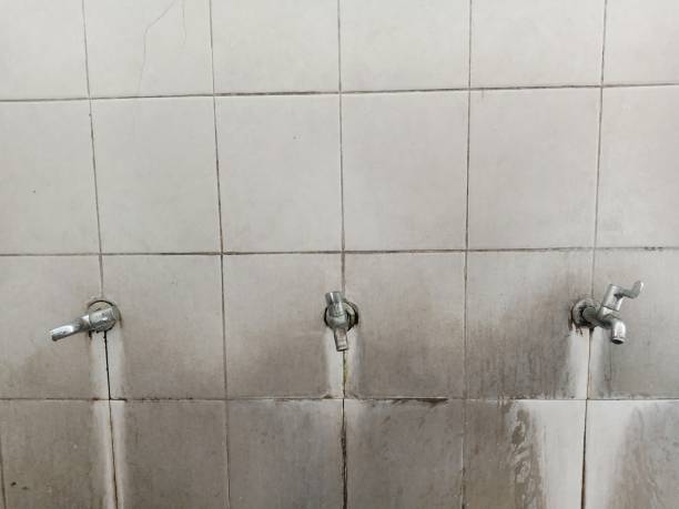 Best Sewage cleanup and water damage restoration  in Englewood, CO