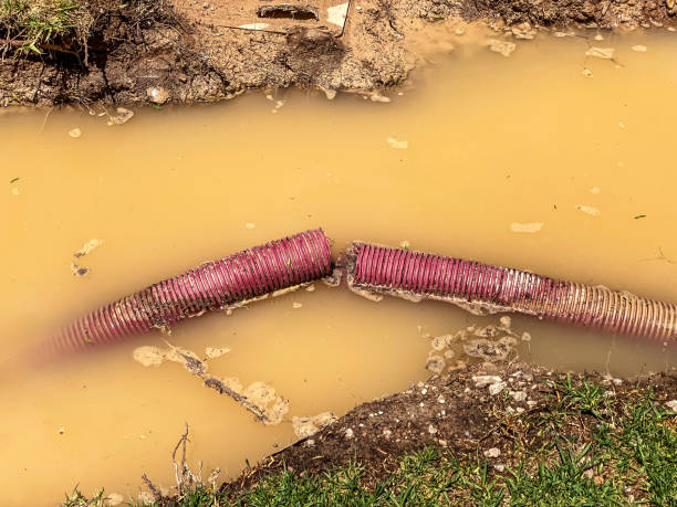 Best Flood damage cleanup  in Englewood, CO