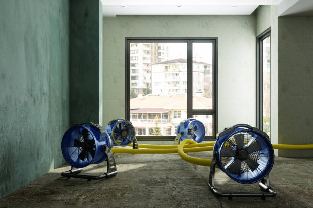 Best Basement water damage restoration  in Englewood, CO