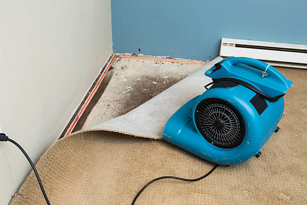 Sewage cleanup and water damage restoration in Englewood, CO